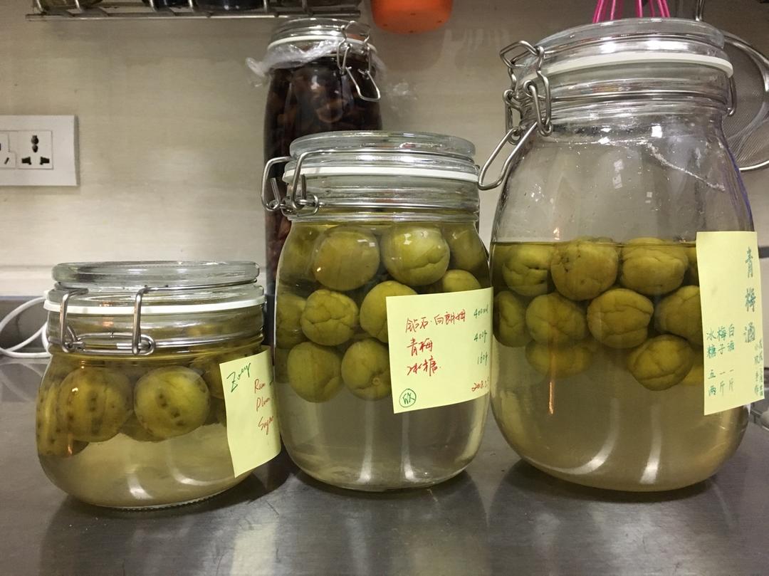 【青梅酒】梅子的沉醉时光（已填坑）