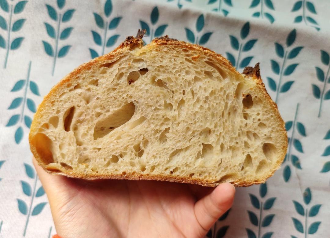 欧包组织分析-让我猜猜你的包子抽啥风？