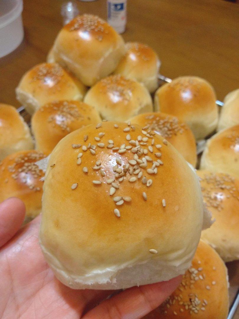 鲜奶油小餐包（一次发酵）