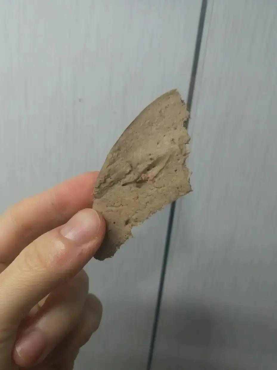 水光感快手超嫩盐水猪肝