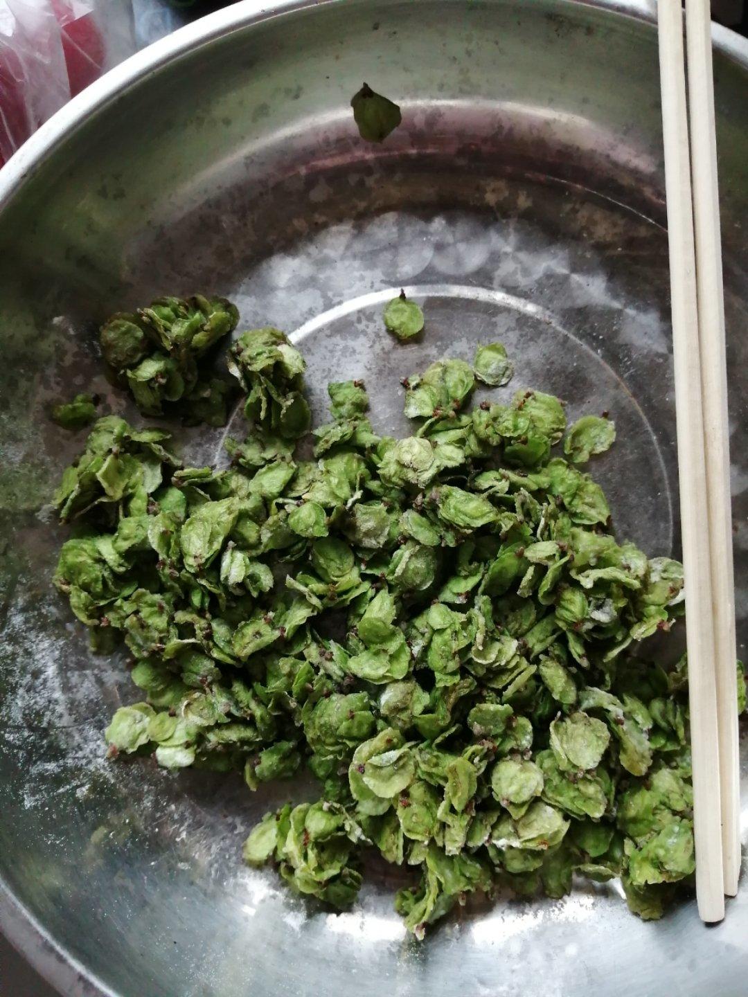 春来野菜又一季~蒸榆钱