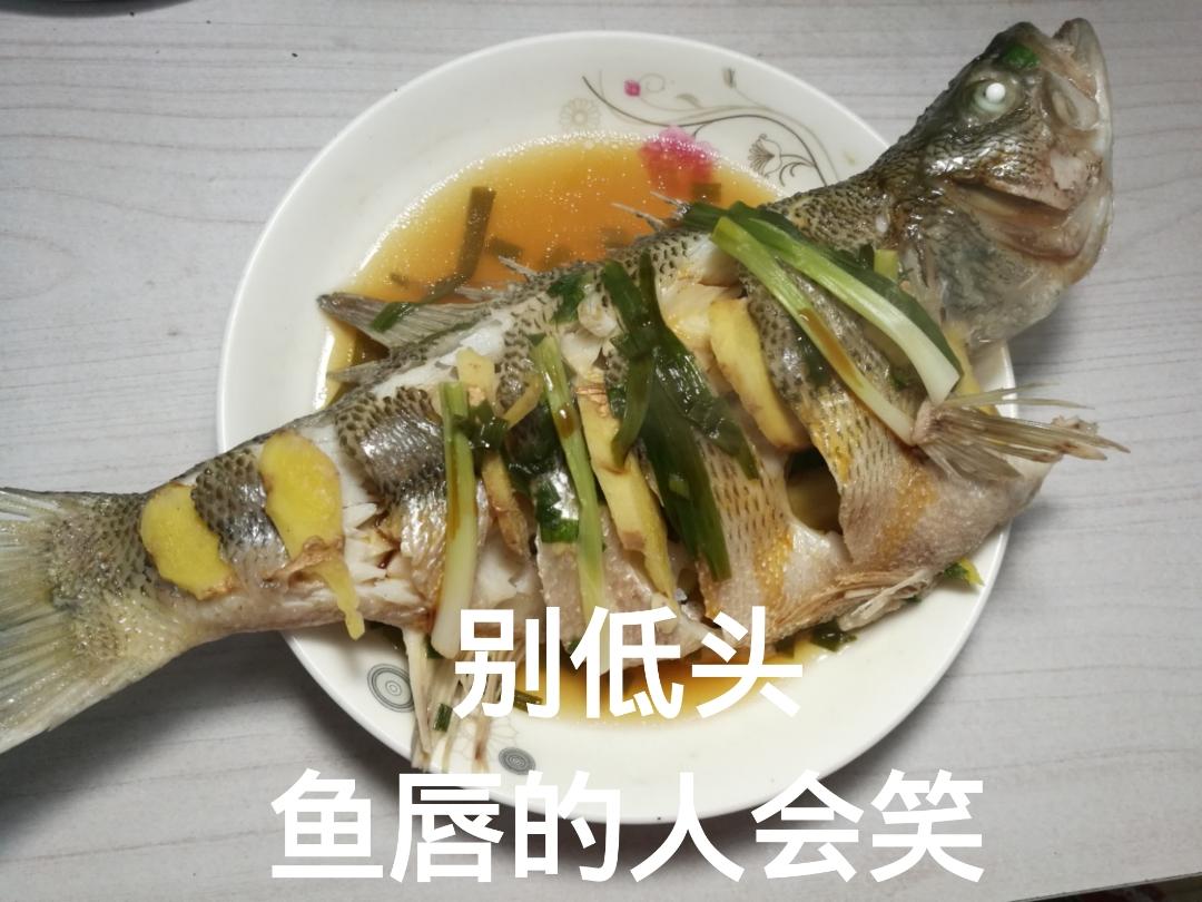 清蒸鲈鱼