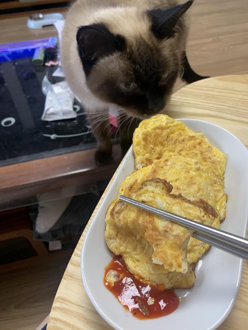 鸡蛋豆腐饼