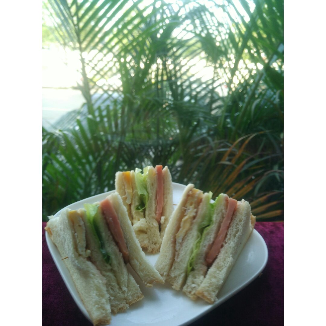 【1分钟鸡蛋三明治】微波懒人早餐