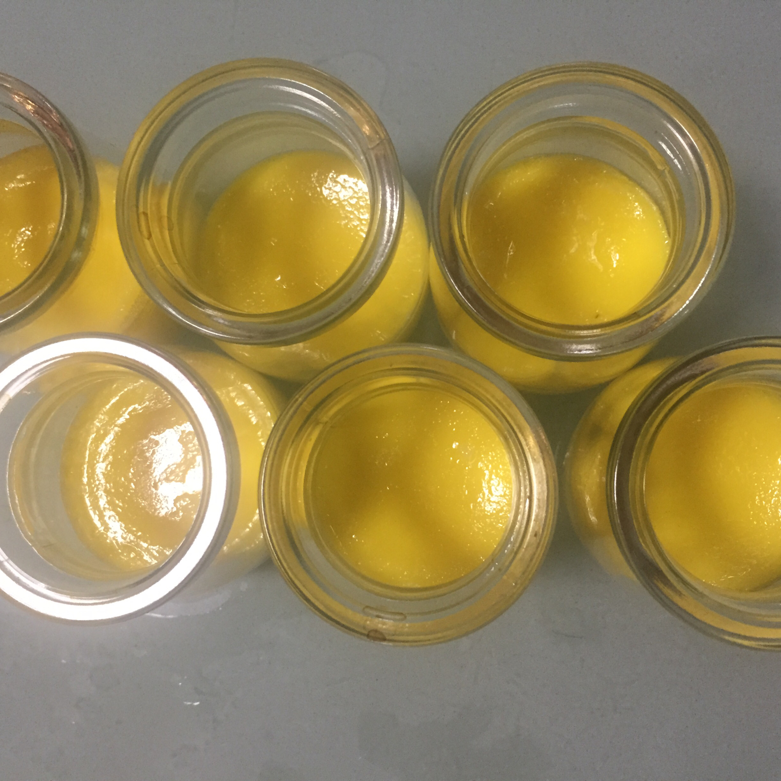 【君酱食谱】0失败 鸡蛋布丁(巨简单版)🍮🍮