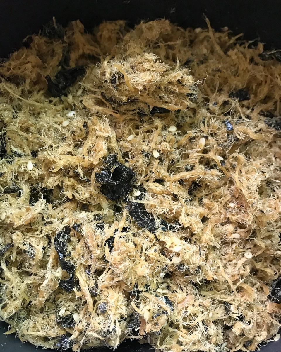自制肉松(面包机版)