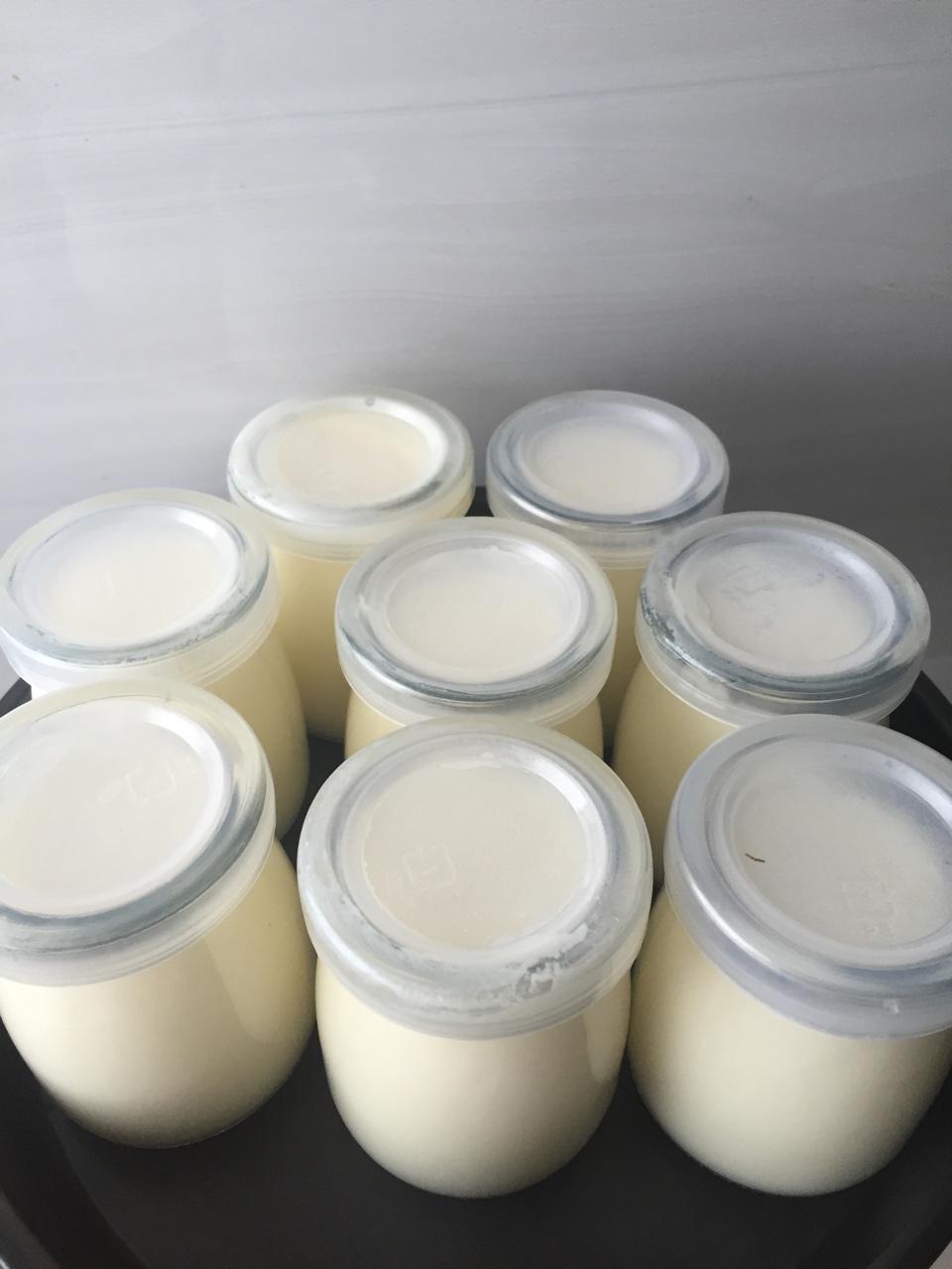 微笑19890510做的烤箱自制酸奶