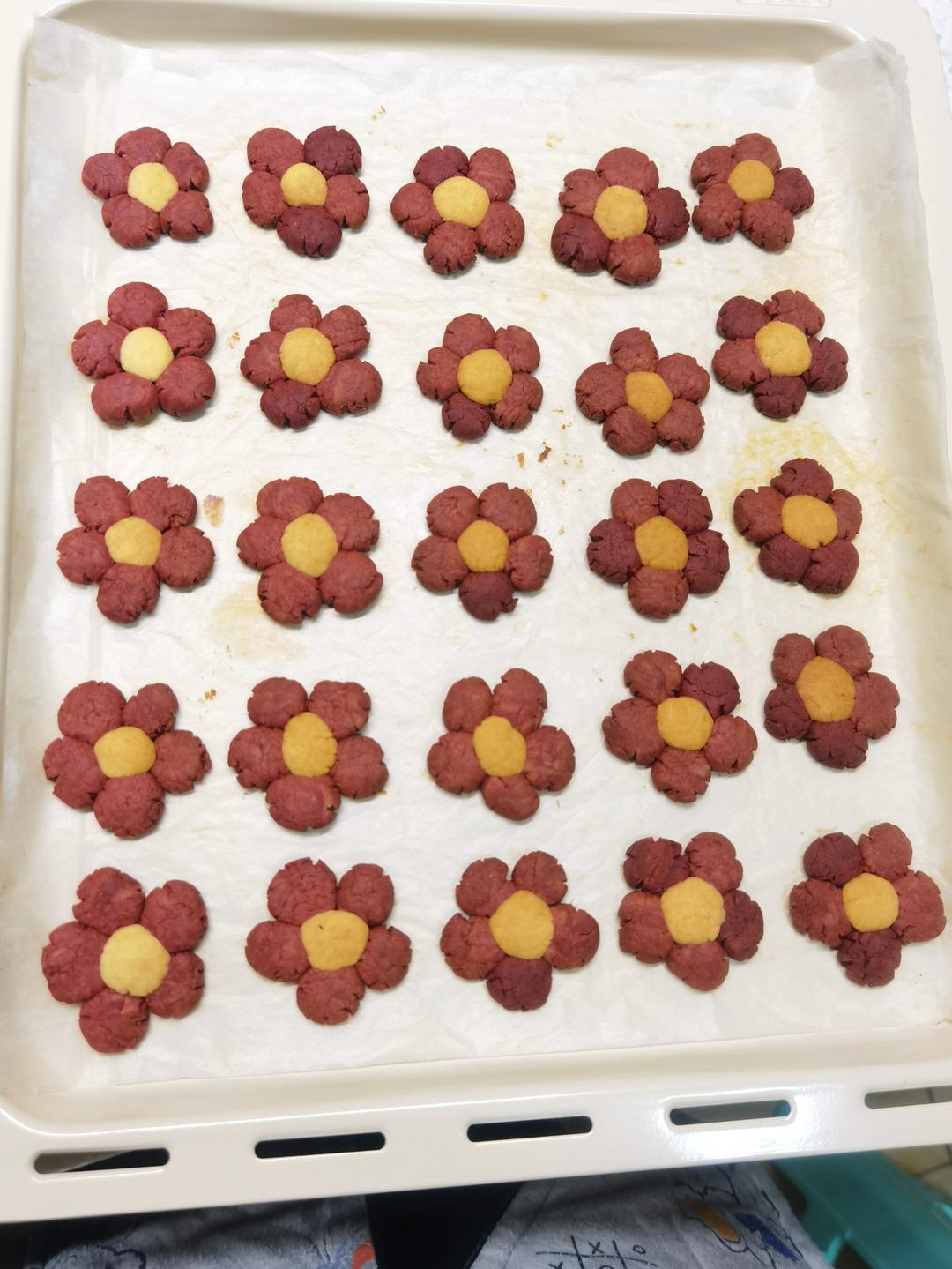 小红花—火龙果饼干