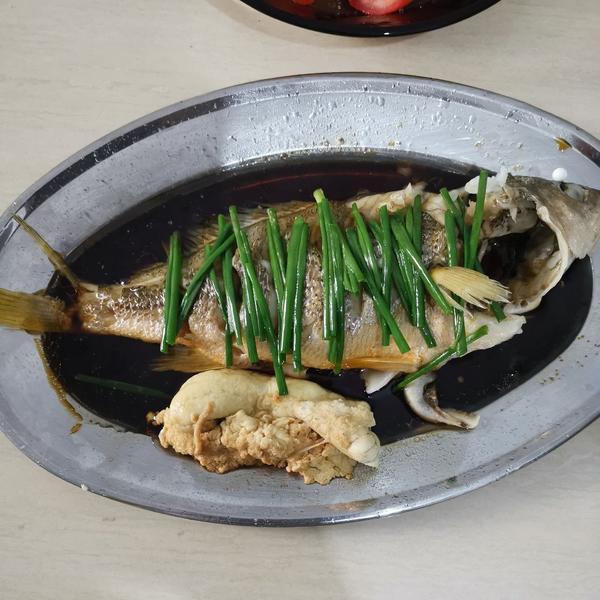清蒸鱼/适用于各种鱼🐠（年夜饭必备硬菜）@Makin-