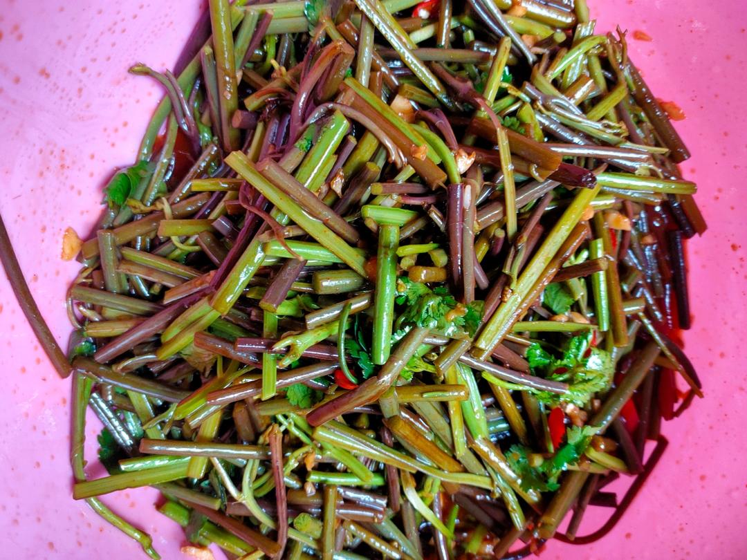 凉拌蕨菜