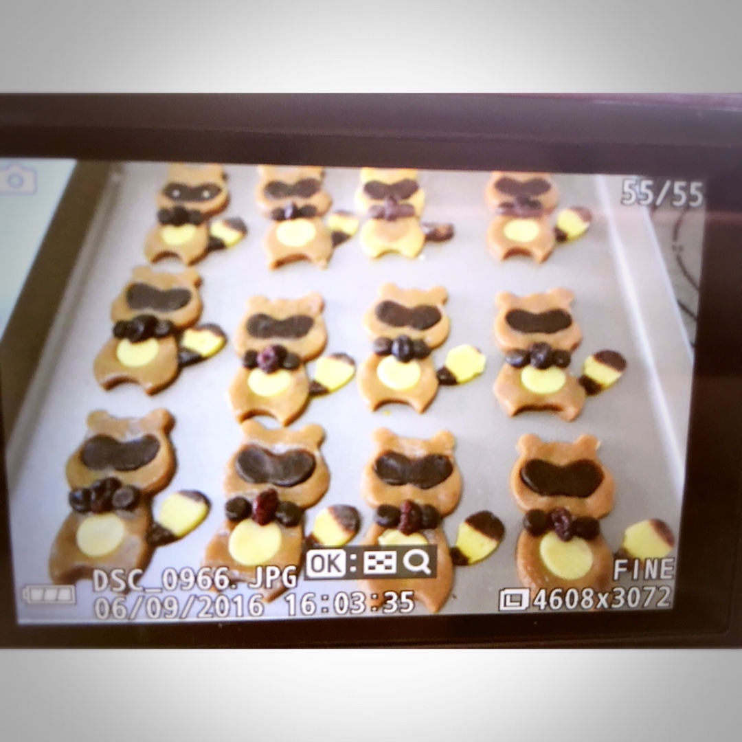 超可爱小浣熊饼干～干脆面君