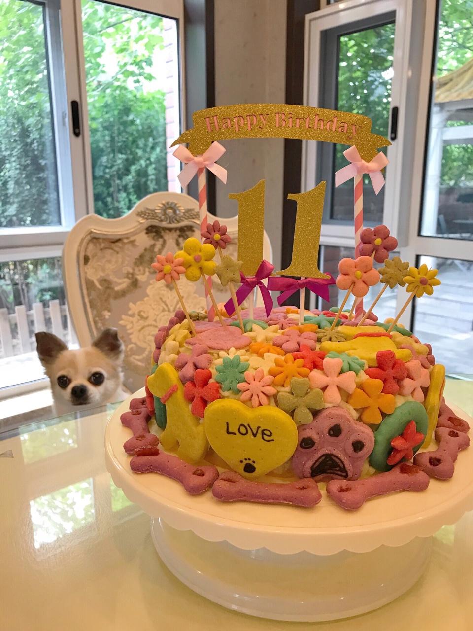 狗狗生日蛋糕（纯天然无色素无面粉）