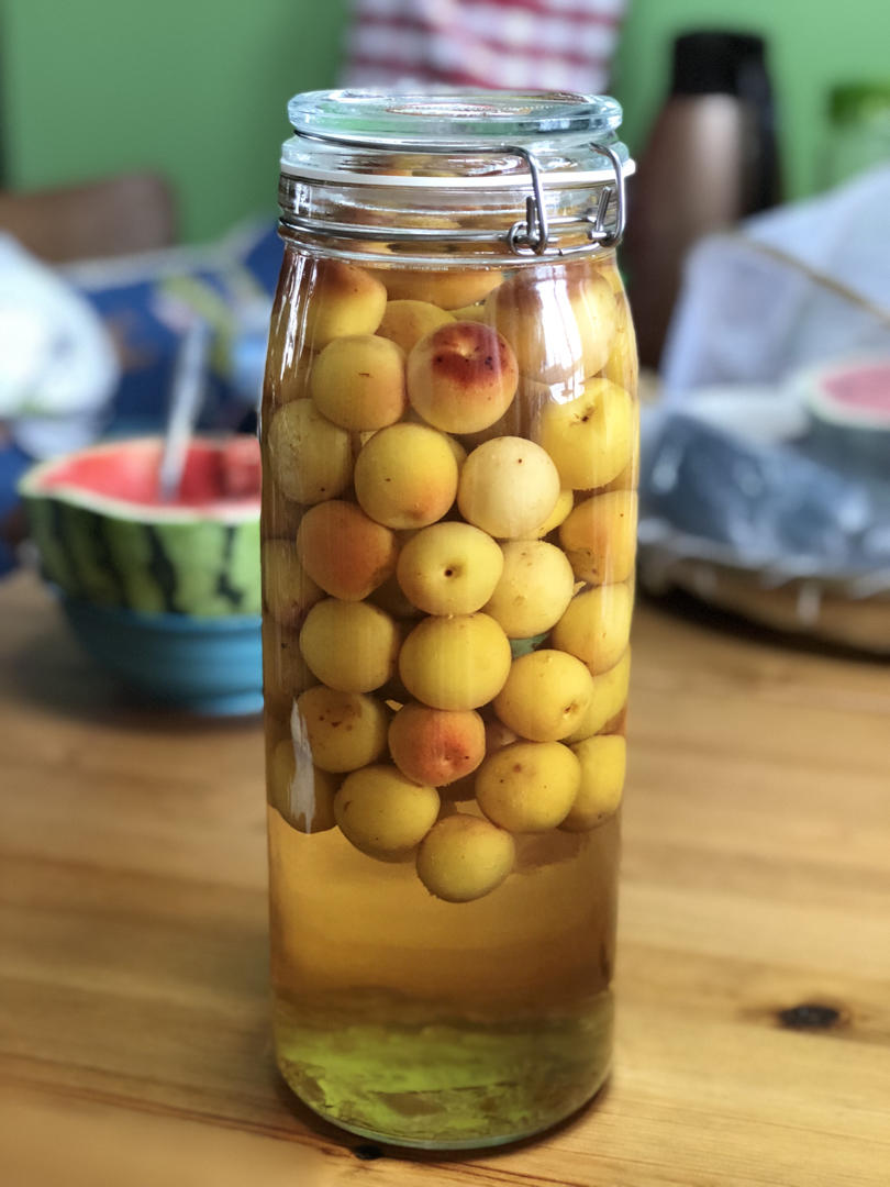 青梅酒（优的春日私酿第二話）