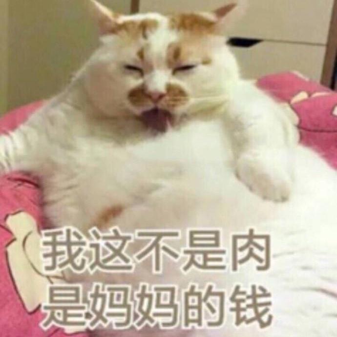 椰壳壳