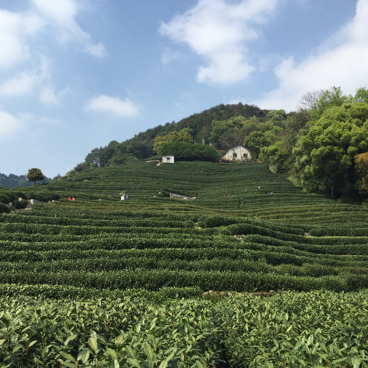 手机用户2861_h6db