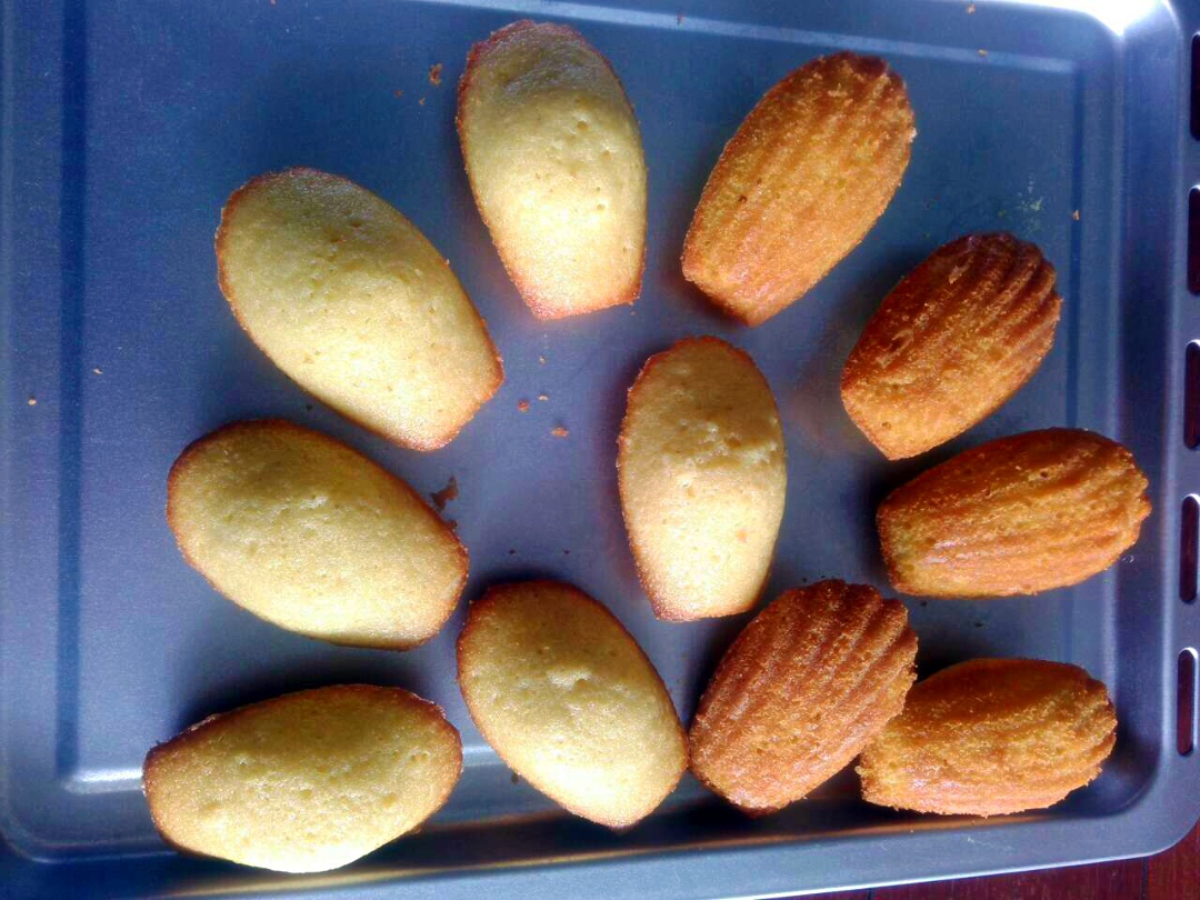 玛德琳（蓝带方）
