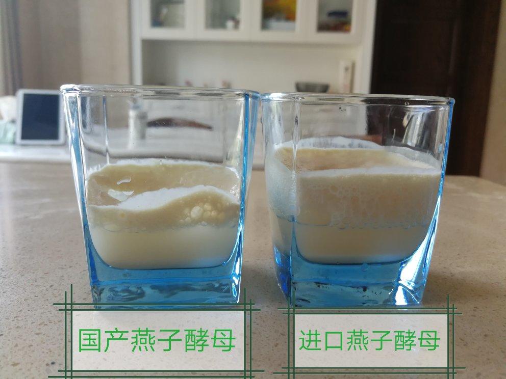 酵母活性测试报告