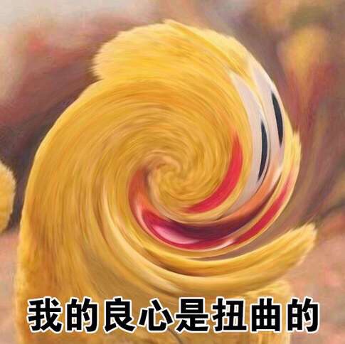 呀橙子橙子呀呀呀