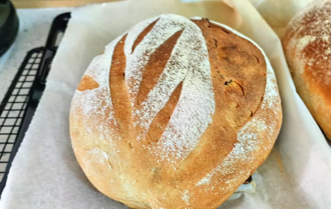 酸奶葡萄干软欧包