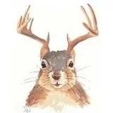 阿香香香香香香香