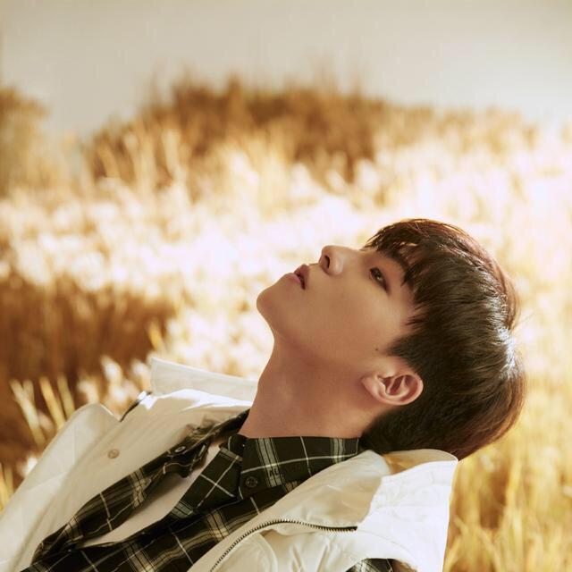 逾莳吥後de永恒