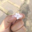 郝蔡一碟