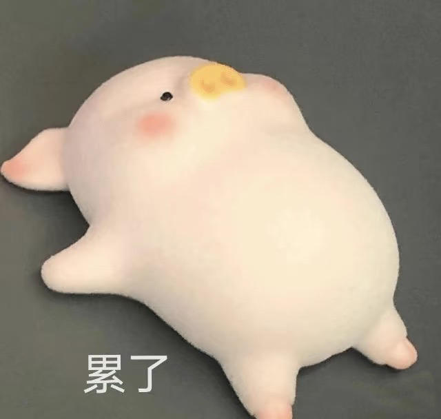 小珠不恰笋