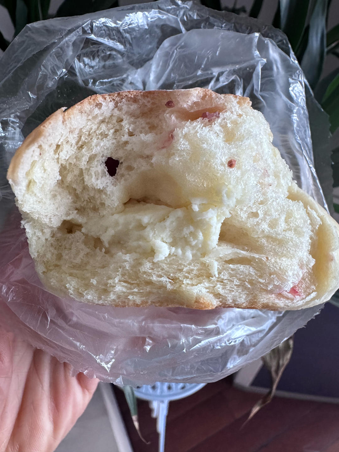 面包店里的常客——蔓越莓奶酪软欧