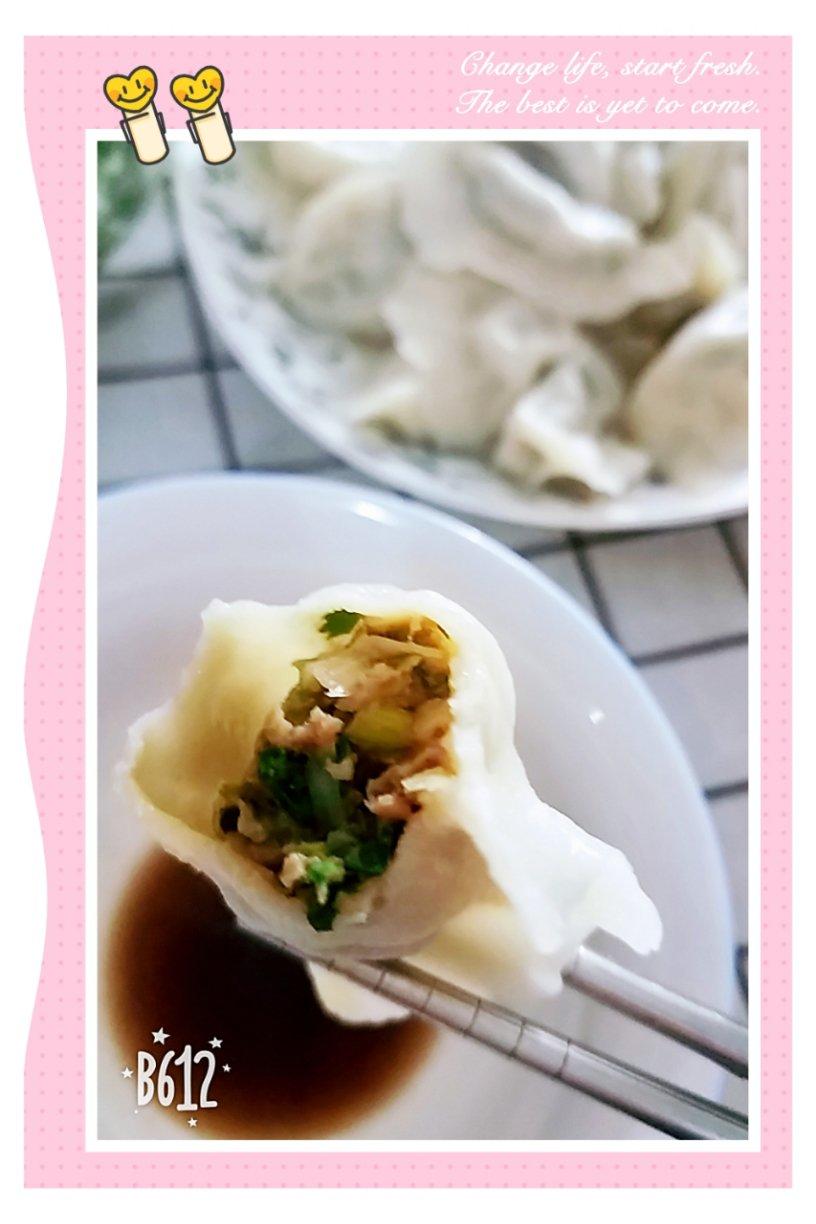 香菜猪肉饺子
