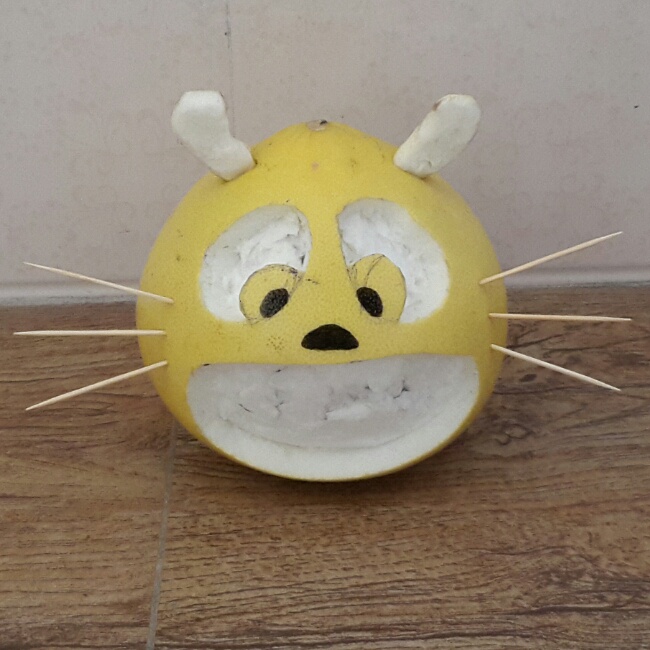 顽皮柚子龙猫