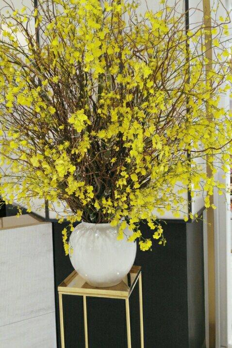 美景、美食、花花草草