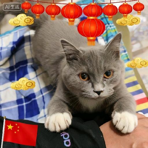 白泽3344