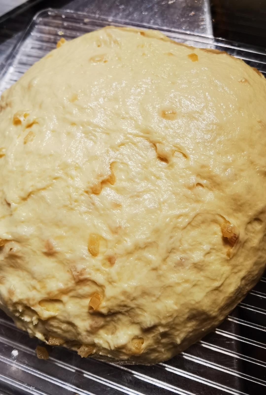 可可爱爱，布里欧修蘑菇头吐司