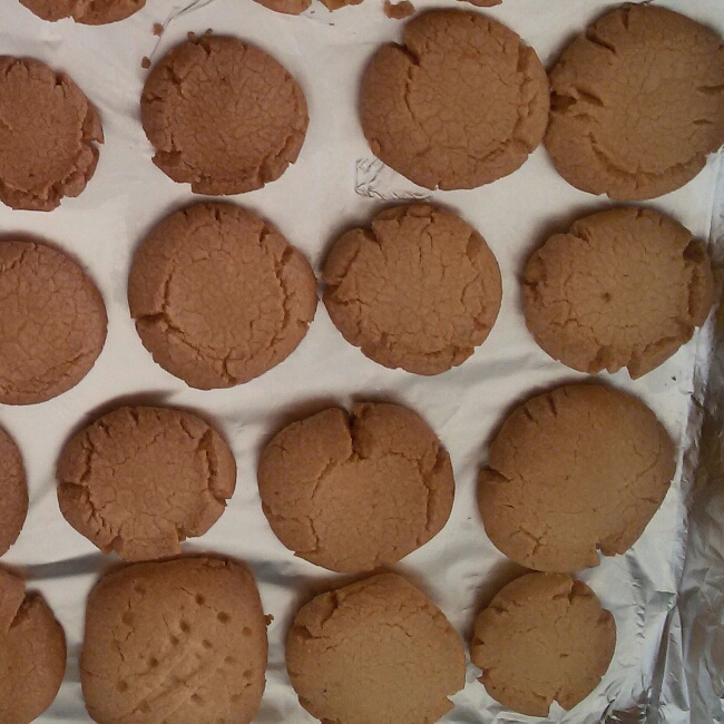 最好吃没有之一（玛格丽特小饼干）