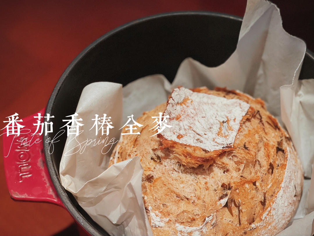 欧包的秘密（免揉/大孔洞/核桃/超简单）