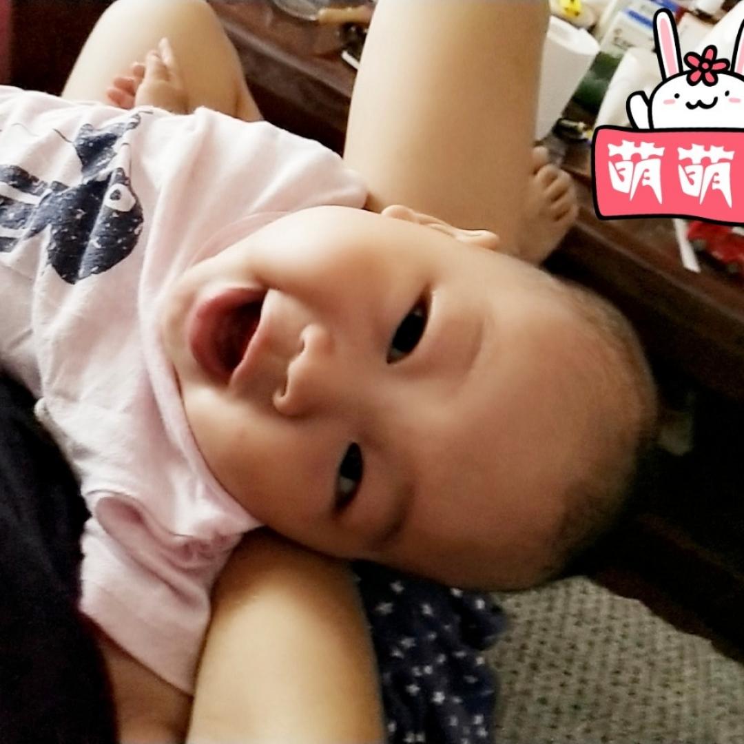 放养猪猪饲养员