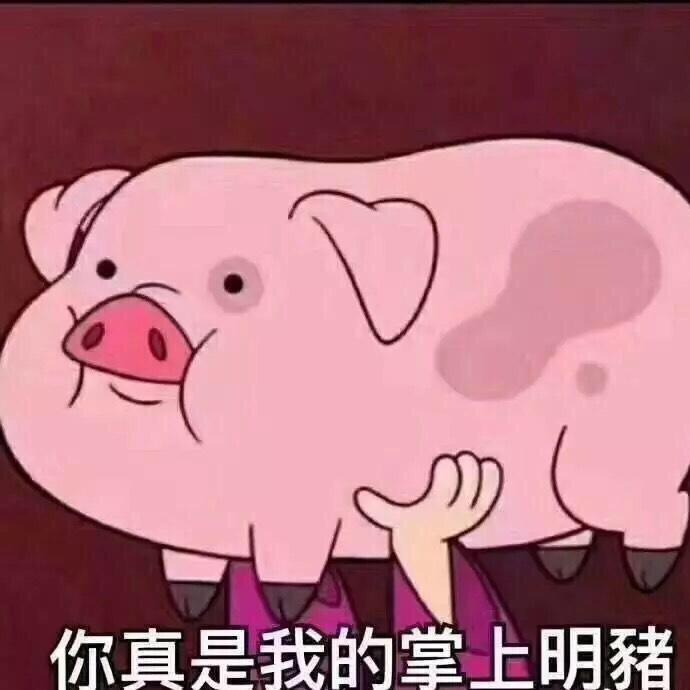 无风不起浪味仙草蜜炼川贝枇杷膏