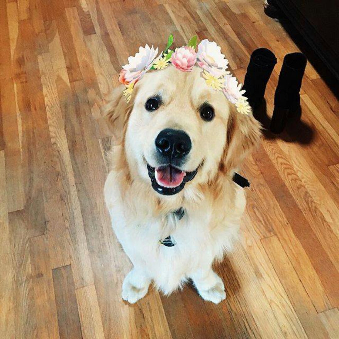 AFTERYOU在你之后