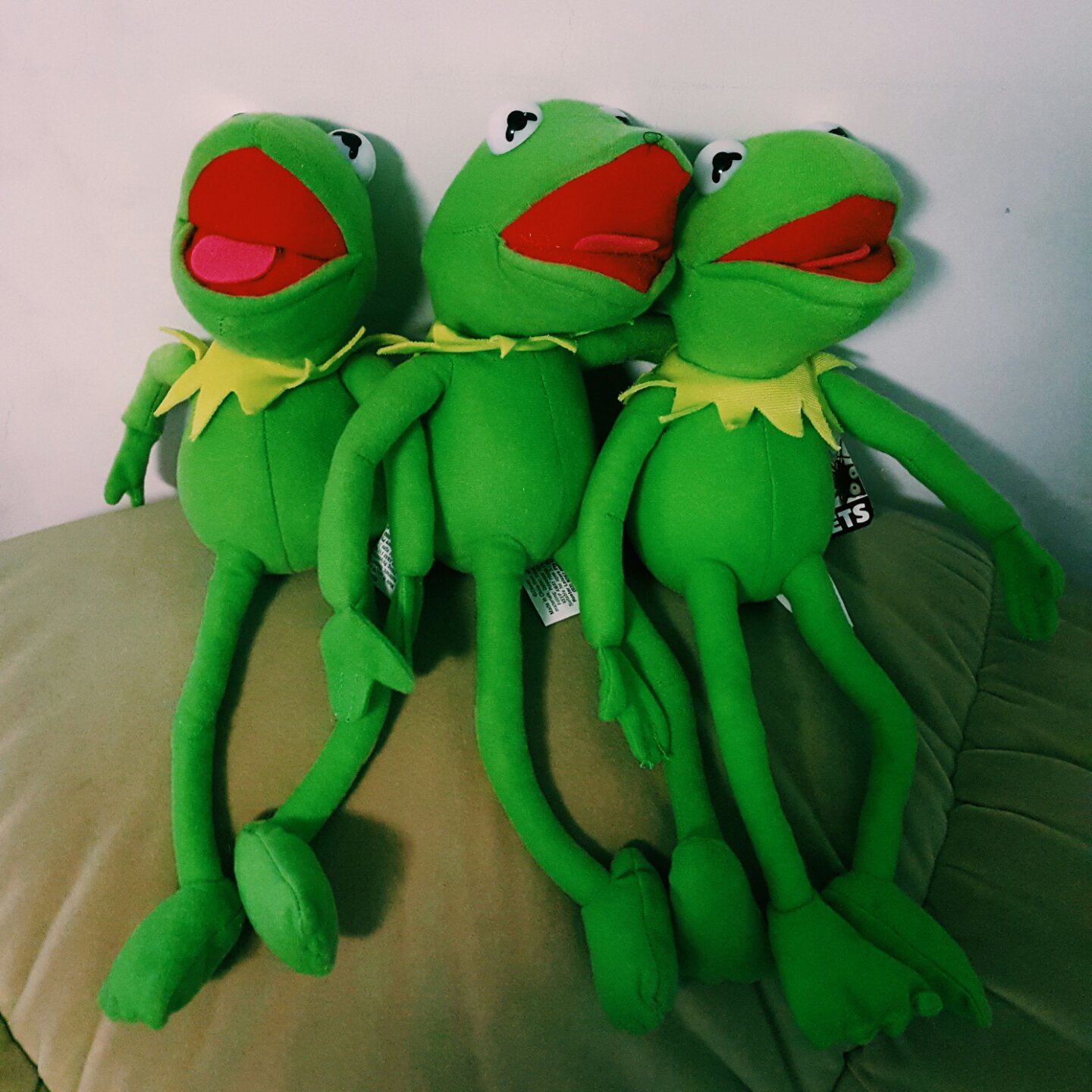 杀不死我也医好我