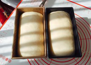 我爱的面包🍞🥯🥨🥪的做法 步骤12