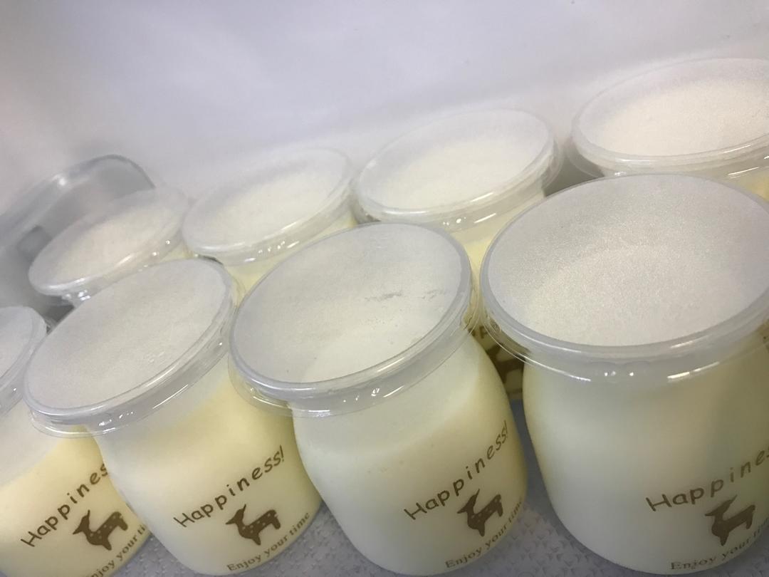 吃豆腐啦！——小嶋老师茉莉奶冻