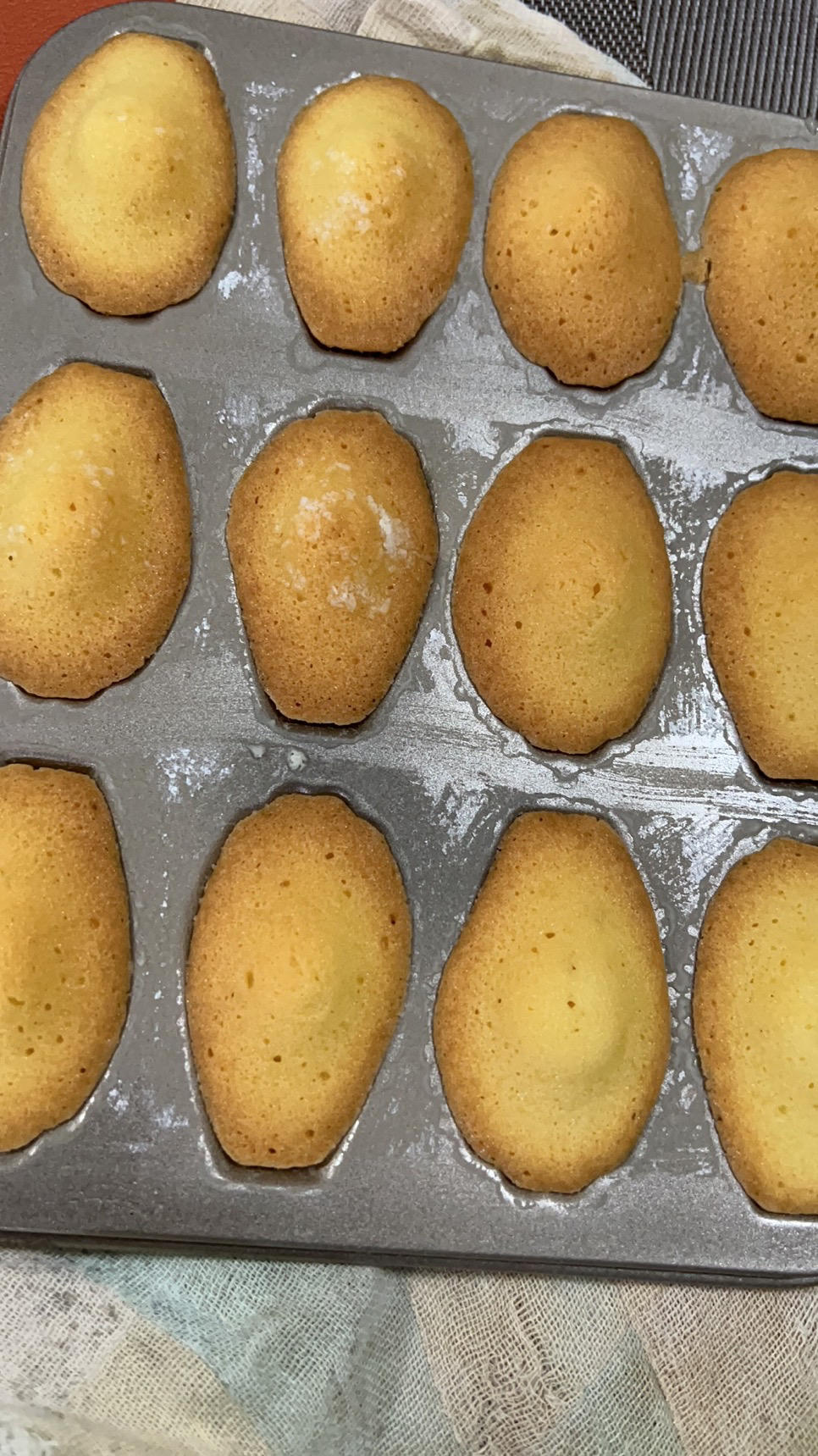 《Tinrry+》柠檬玛德琳