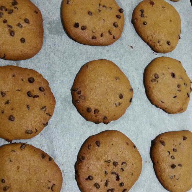 巧克力葡萄干饼干