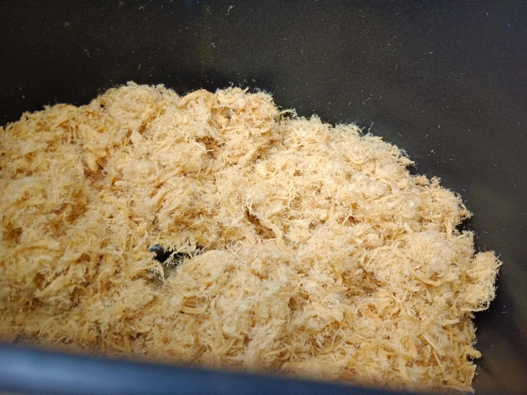 自制肉松(面包机版)