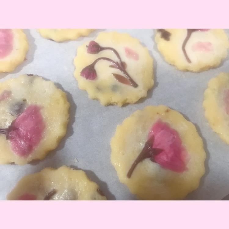 少女杀手/蔓越莓樱花曲奇