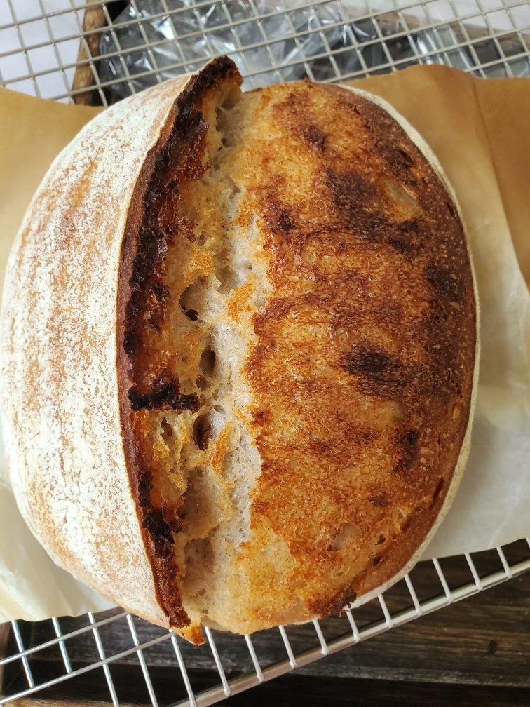【硬欧笔记】GirlMeetsBread「Sourdough Notebook」