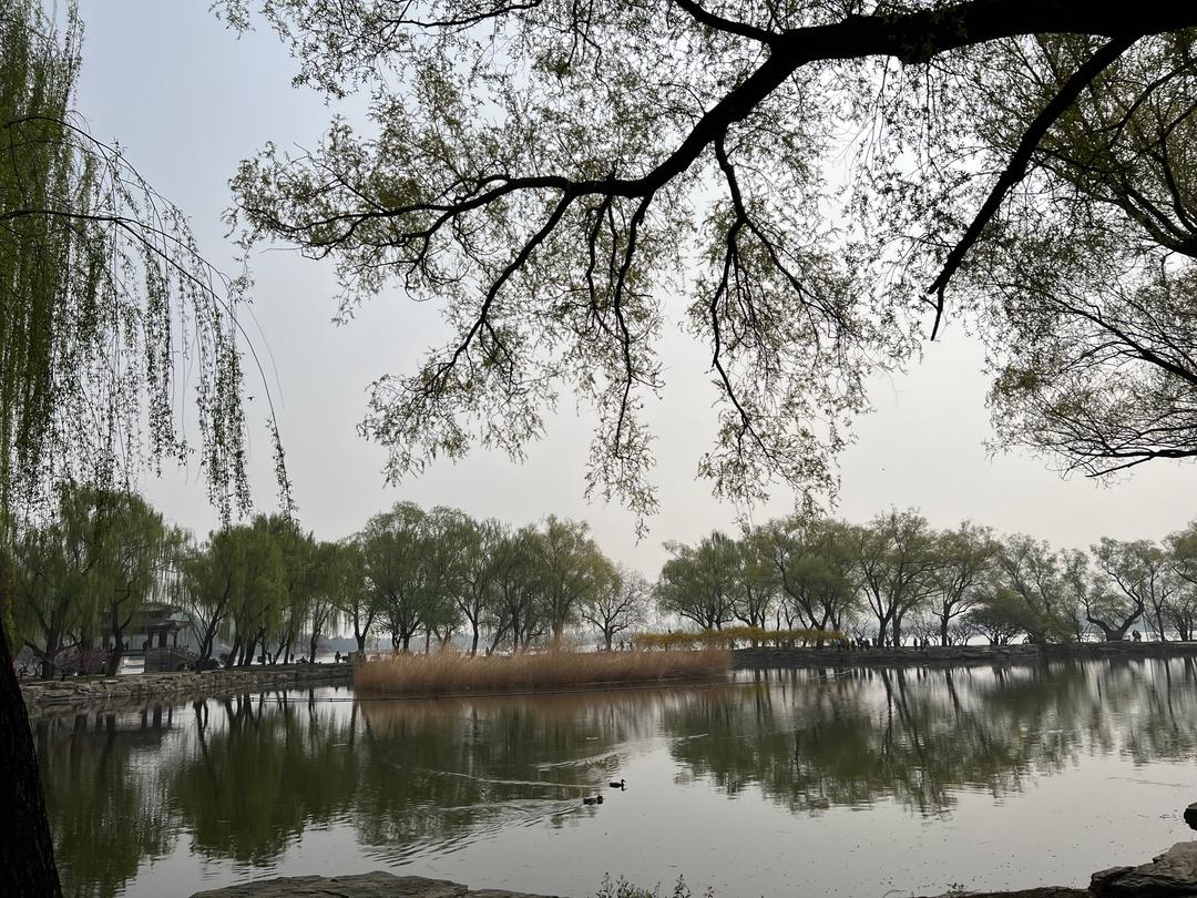 黑皮鸡枞菌棒骨汤