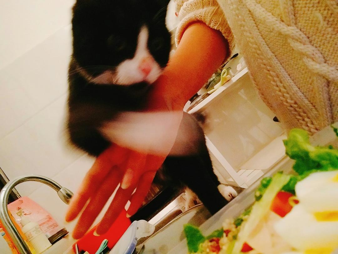 记录工作餐
