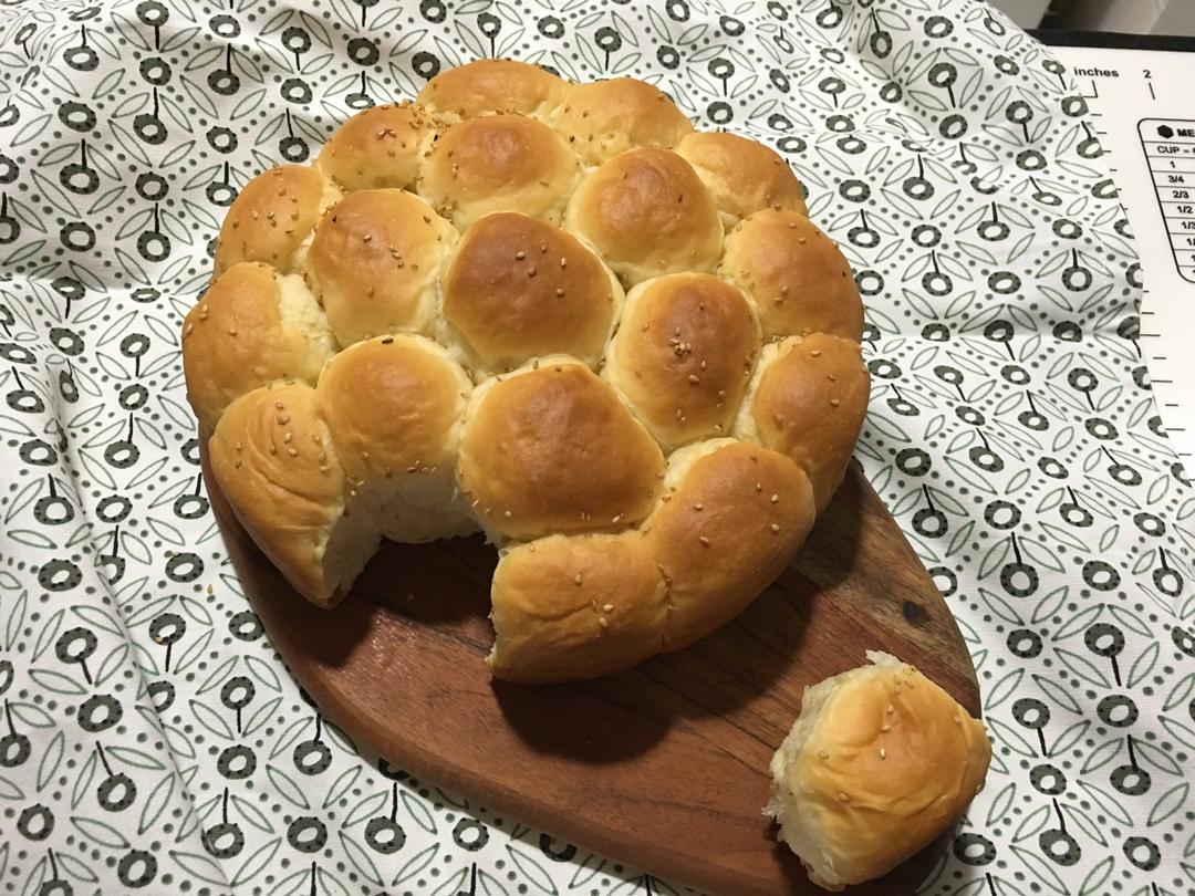 奶酪金钱小面包