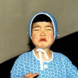 绿宝食堂